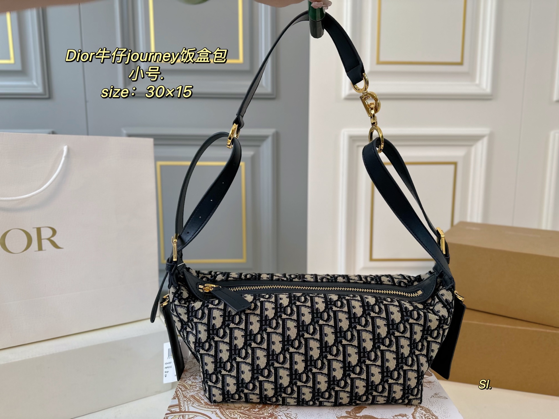 DIOR bag 123